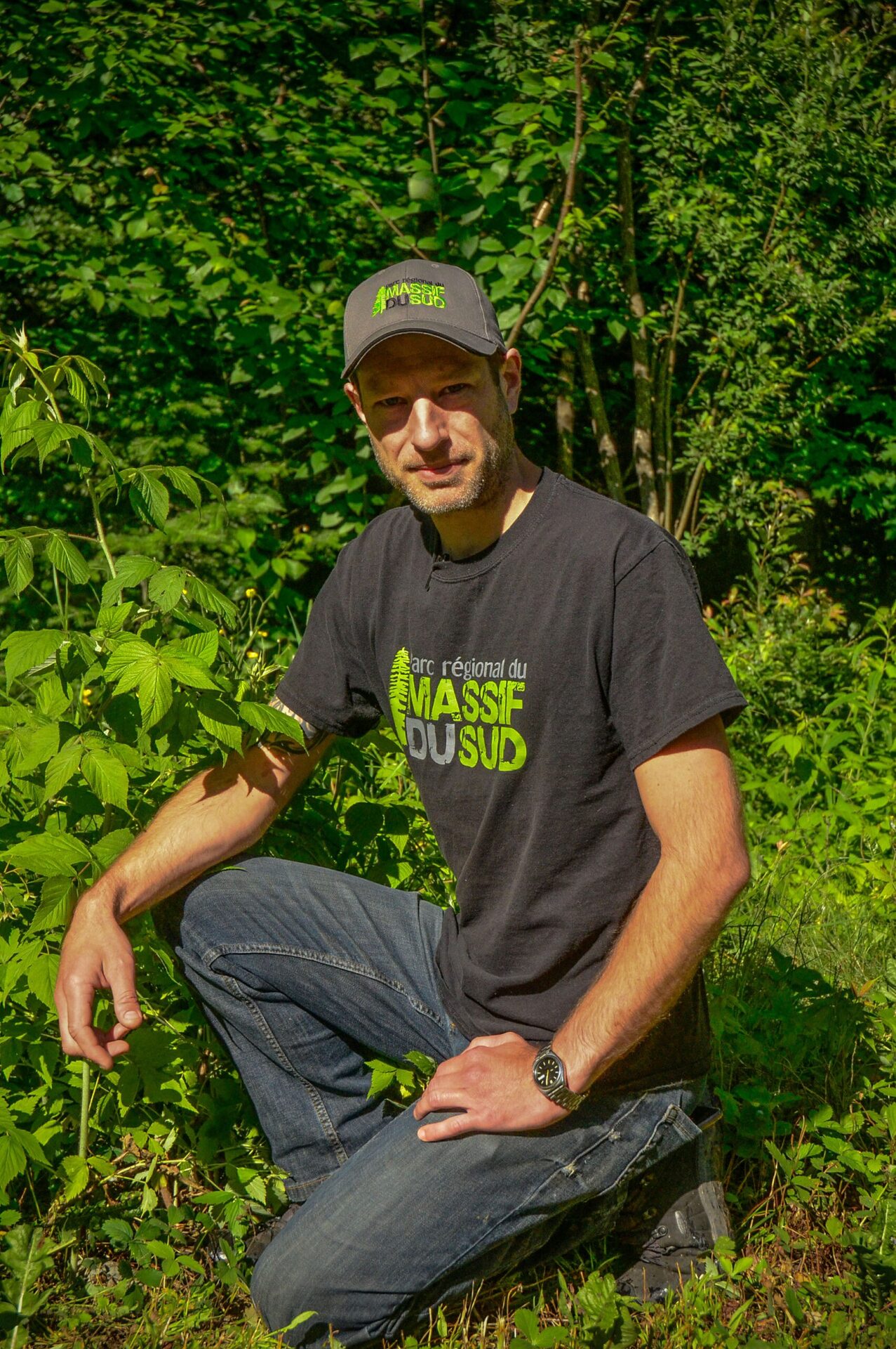Sebastien Rouyer Edible plants and mushrooms - Parc du Massif du Sud