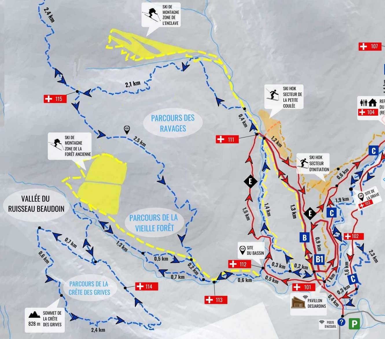 Carte du ski de montagne