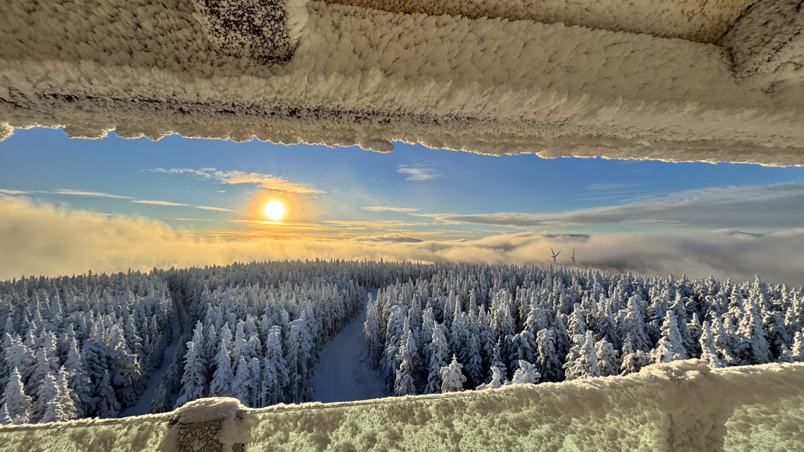 Moments of happiness in nature