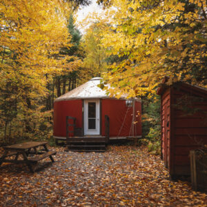 image00043