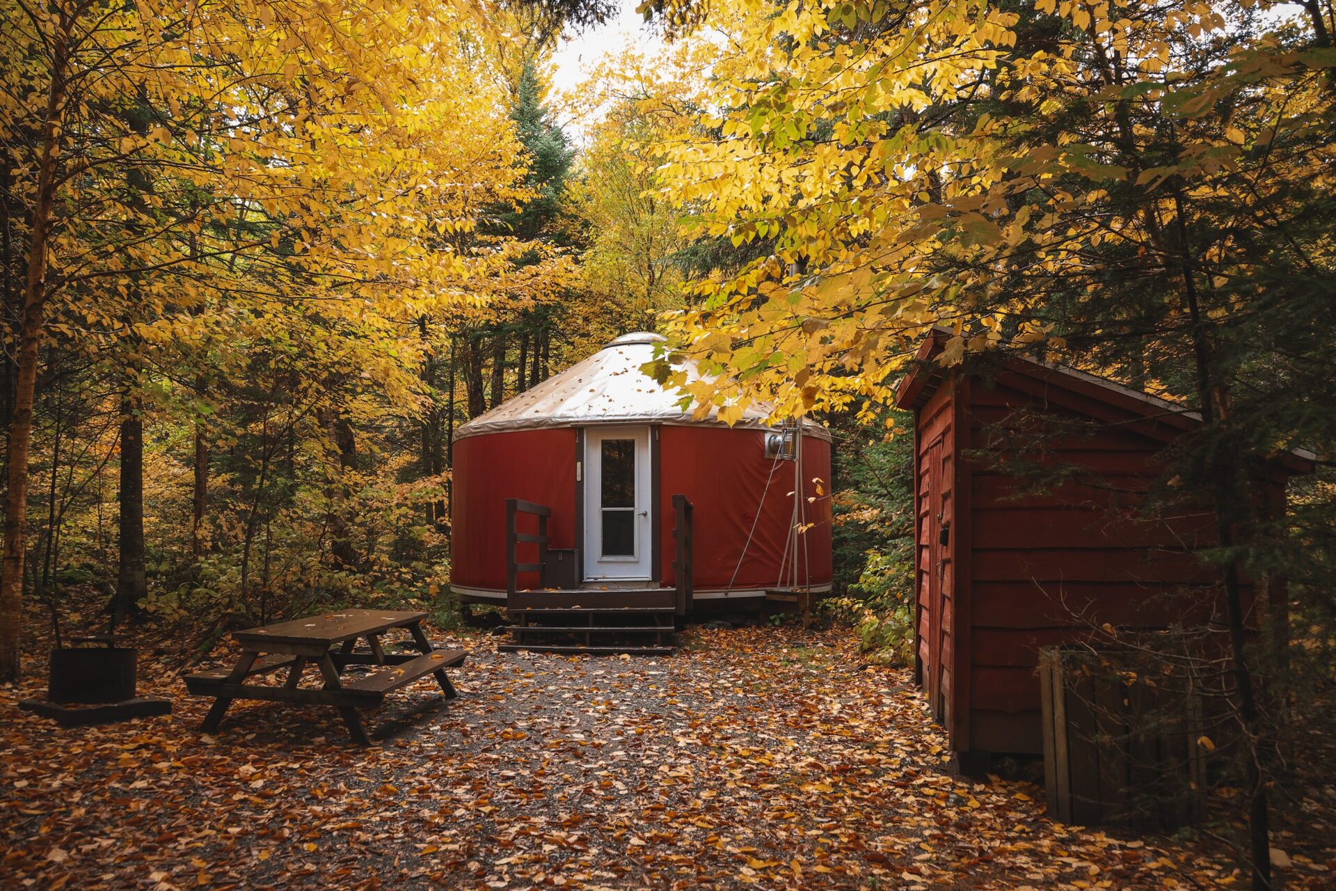 image00043